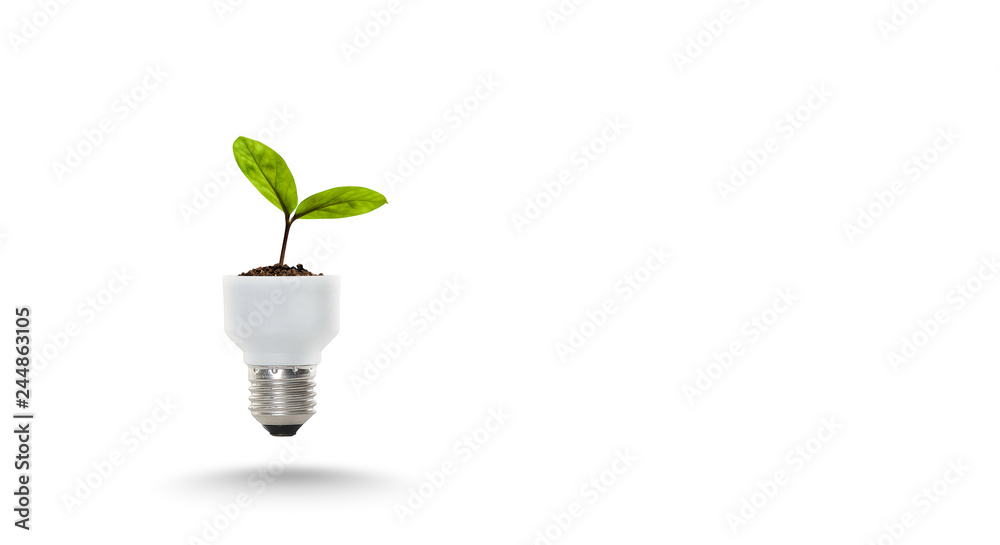 Light Bulb with sprout. Mixed media Light Bulb with sprout. Mixed media