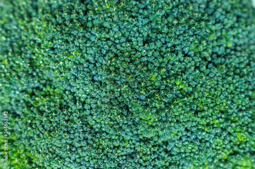 Broccoli close up full background.