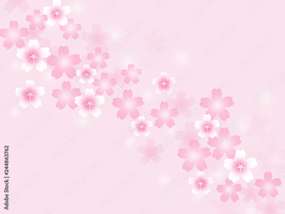 桜 和柄 さくら 和風 サクラ 花 春 和の背景 和柄背景 Stock Illustration Adobe Stock