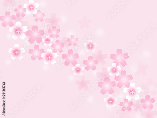 桜 和柄 さくら 和風 サクラ 花 春 和の背景 和柄背景 Stock 