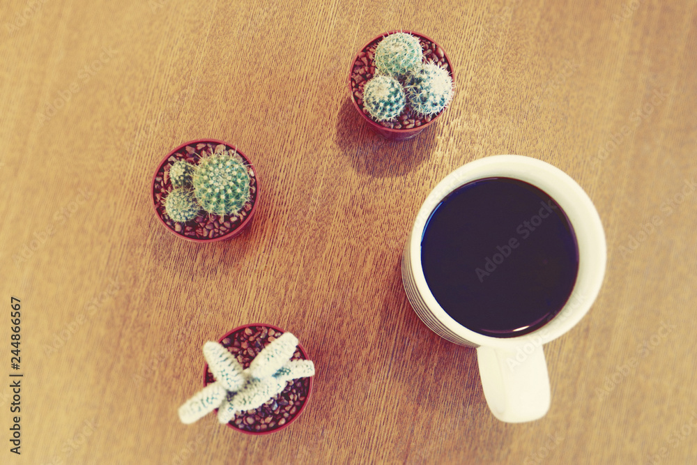 Looking down Coffee cup and Small Cactuses on Wooden table