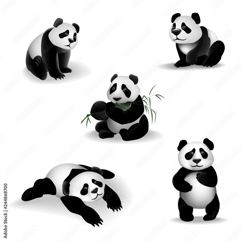 Cartoon Panda.
Set of cartoon pandas on a white background. Vector illustration, 3D.