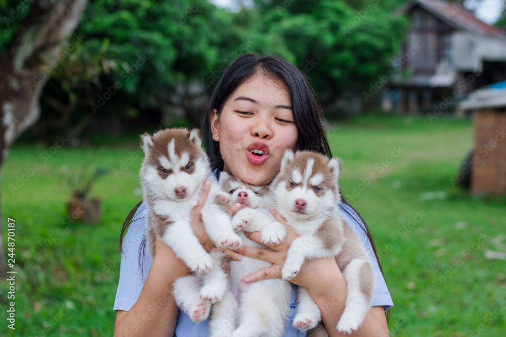Young woman was carrying a puppy Siberian husky with love and kindness. Young woman was carrying a puppy Siberian husky with love and kindness.