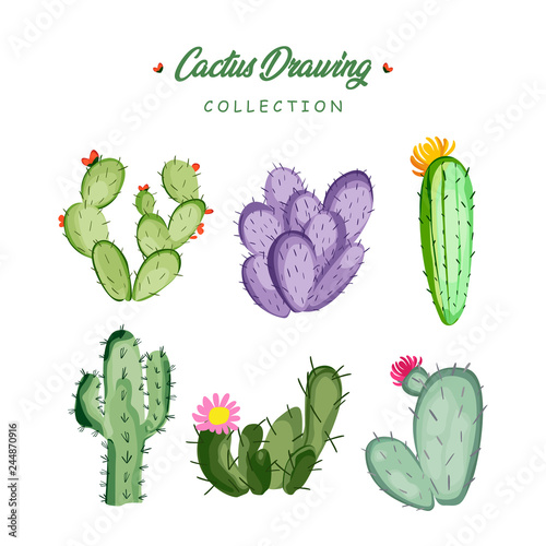 Hand Drawn Cactus Drawing