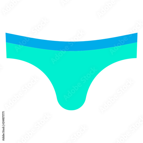 Swim brief