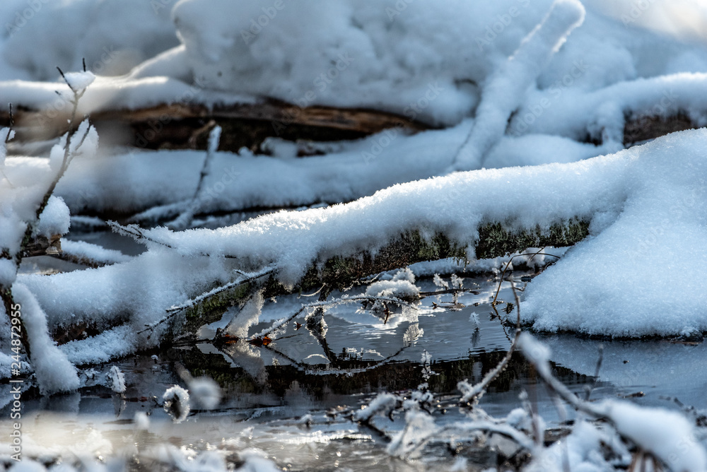 ice/snow on pond/branches