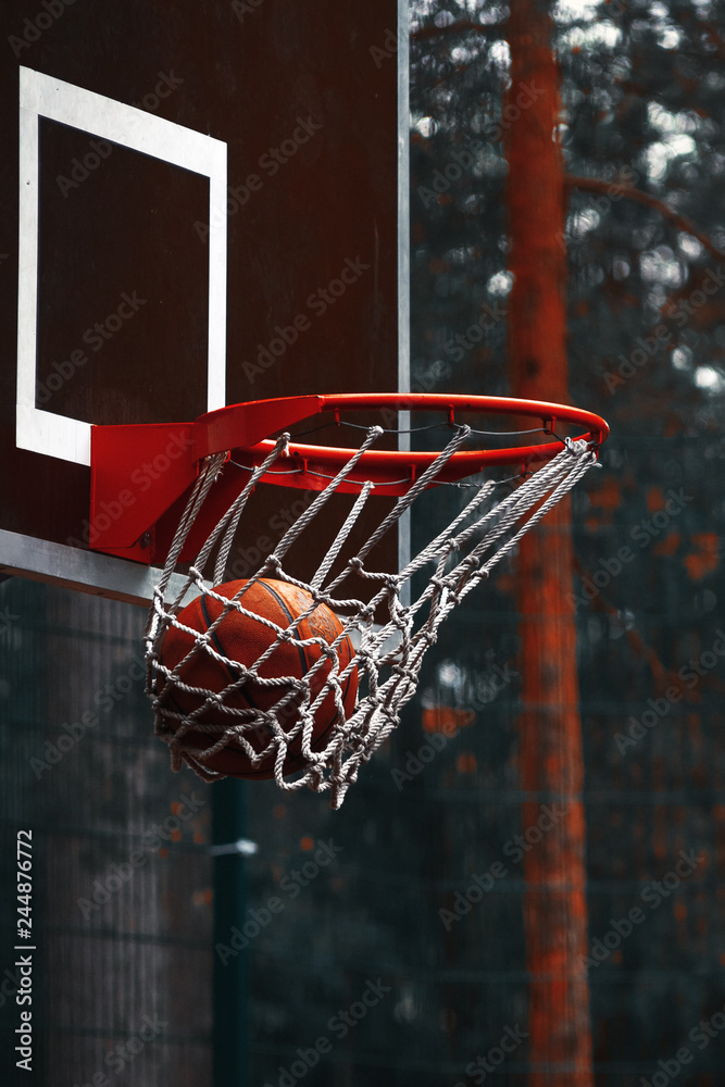 the ball in the basketball Hoop	