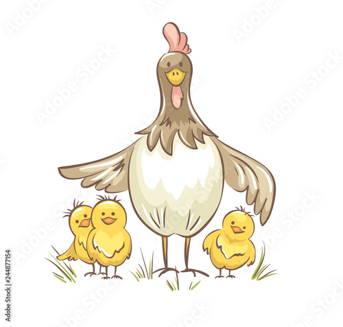 Chicken family. Vector illustration, Funny chicken with chickens