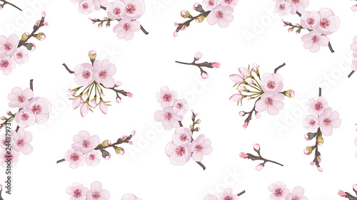 Rose on white fond. Spring pattern of sakura flowers. Handmade Seamless pattern in Chinese style. Design element for fabric, invitations, packaging, cards.