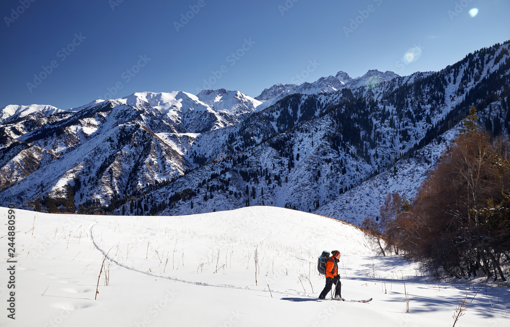 Skiing on the fresh powder snow