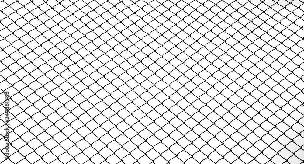 Texture the cage metal net on white background Stock Photo | Adobe Stock