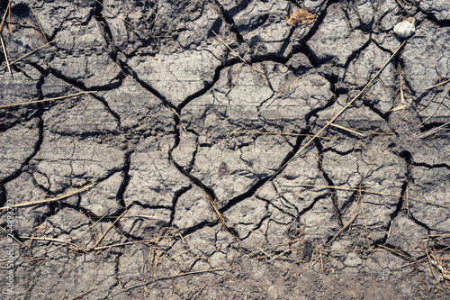 The dried-up earth cracked, drought