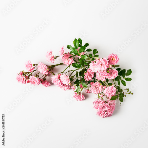 Pink roses bunch © ifiStudio