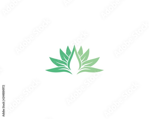 Beauty vector flowers design logo