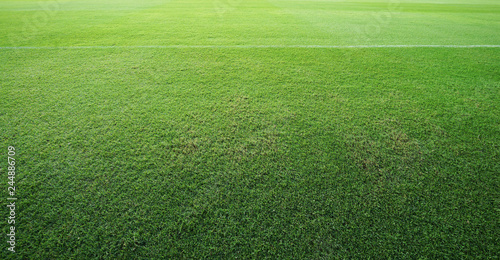 Green lawn soccer field floor background. Landscape outdoor sport © apichart