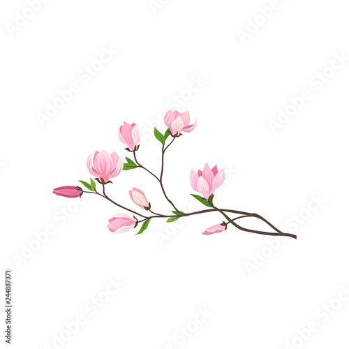 Small branch of tree with fresh pink flowers. Nature and flora theme. Detailed flat vector design