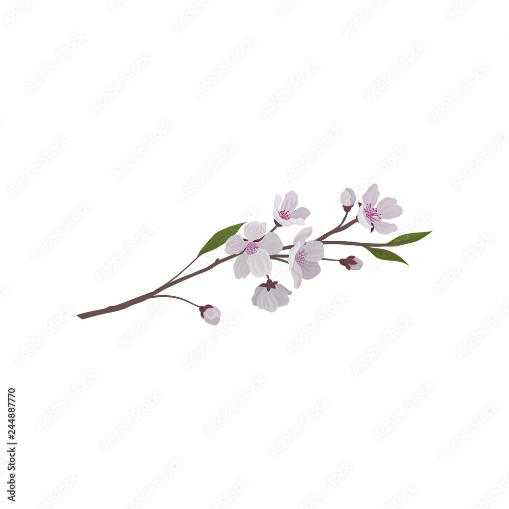 Twig with pink flowers and green leaves. Branch of fruit tree. Cherry blossom. Nature theme. Detailed flat vector icon Twig with pink flowers and green leaves. Branch of fruit tree. Cherry blossom. Nature theme. Detailed flat vector icon