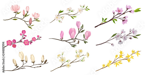 Set of flowering branches with small flowers and green leaves. Twigs of fruit trees. Detailed flat vector icons