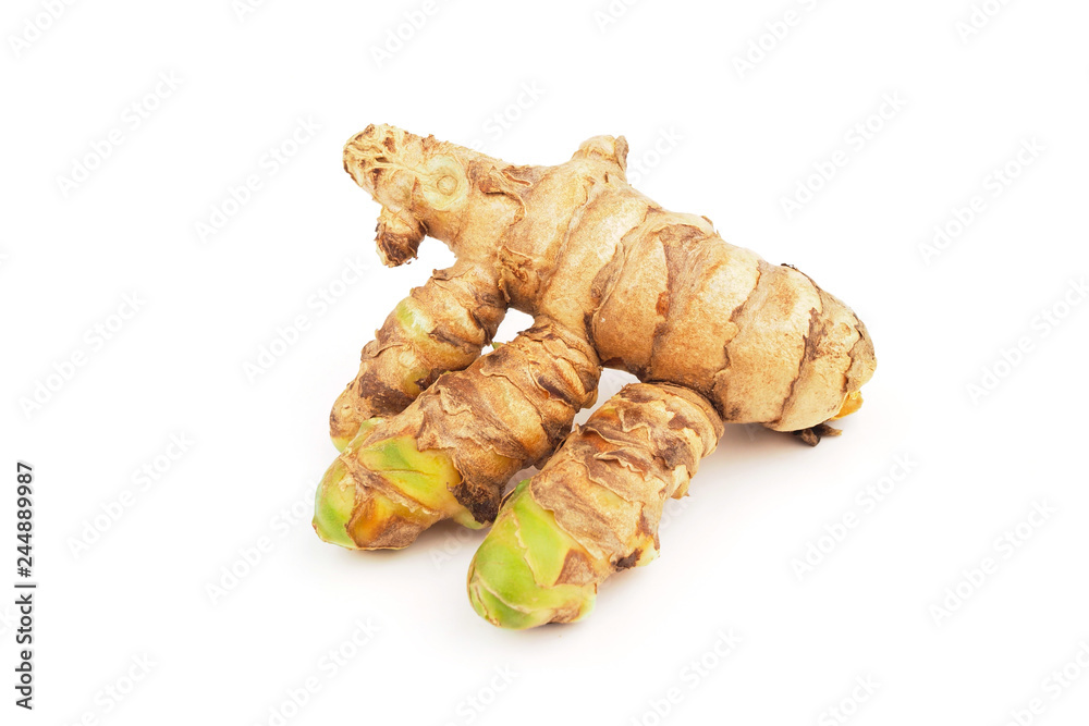 Fresh turmeric on white background. Herbal Fresh turmeric on white background. Herbal