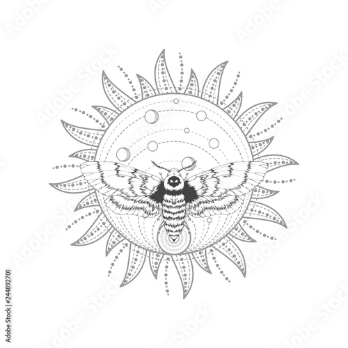 Vector illustration with hand drawn dead head moth and Sacred symbol on white background. Abstract mystic sign. Black linear shape. For you design, tattoo or magic craft.