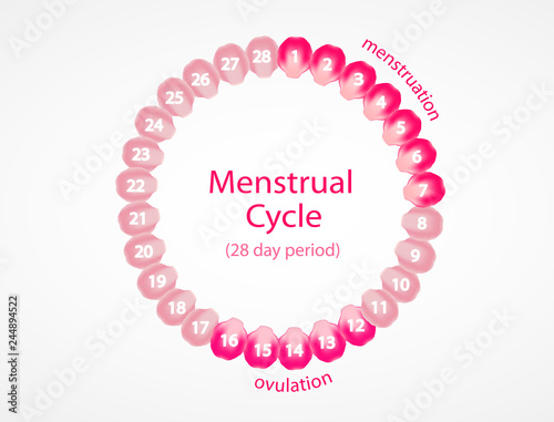 Menstrual cycle. Pink roses petals.