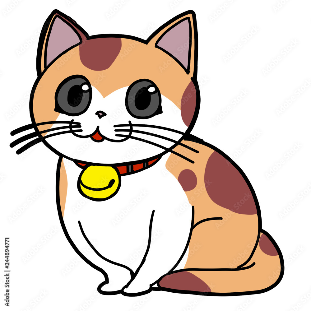 三毛猫(1) 三毛猫(1)