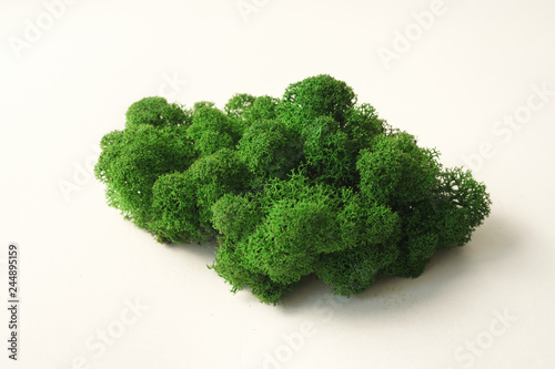 Color moss on white background