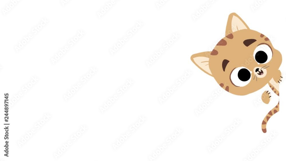 Gato adorable saludando con fondo blanco