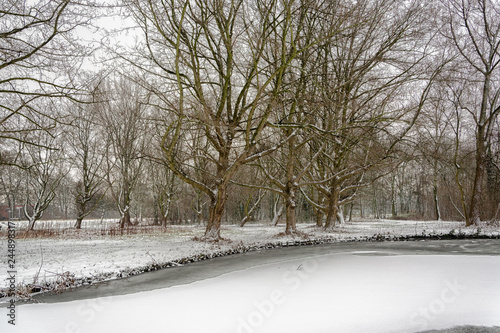 winter landscape with snow photo