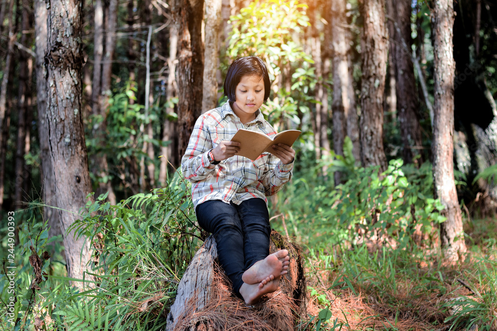 asian student girl reading a book nature forest background asian student girl reading a book nature forest background