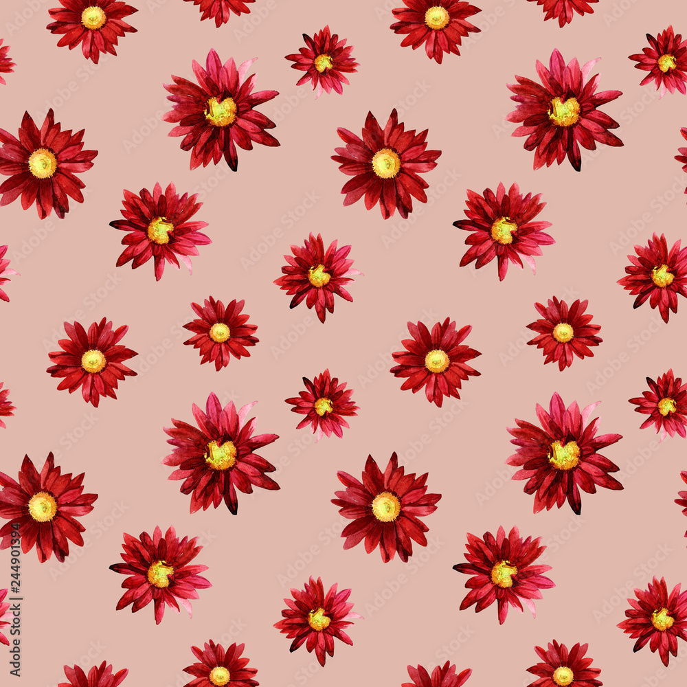 Watercolor seamless pattern of chrysanthemum flowers. Watercolor seamless pattern of chrysanthemum flowers.