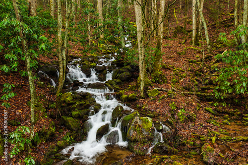 Random Cascades on Newfound Gap Road, Great Smoky Mountains National Park, North Carolina, United States © Sceninc Media