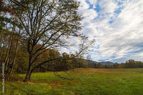 Cades Cove, Great Smoky Mountains National Park, Tennessee, United States