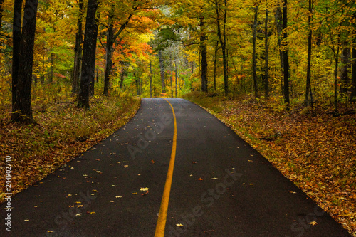 Flint Ridge Road, Mammoth Cave National Park, Kentucky, United States