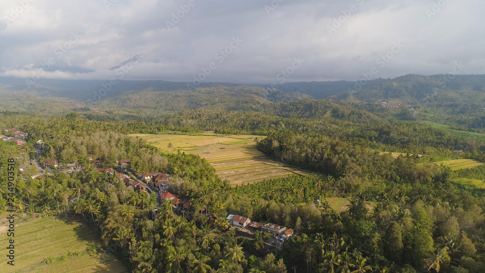 rice fields, agricultural land with fields with crops, trees in mountainside. aerial view farmland with rice terrace agricultural crops in countryside Indonesia