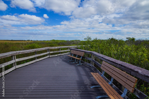 Anhinga Trail, Everglades National Park, Florida, United States