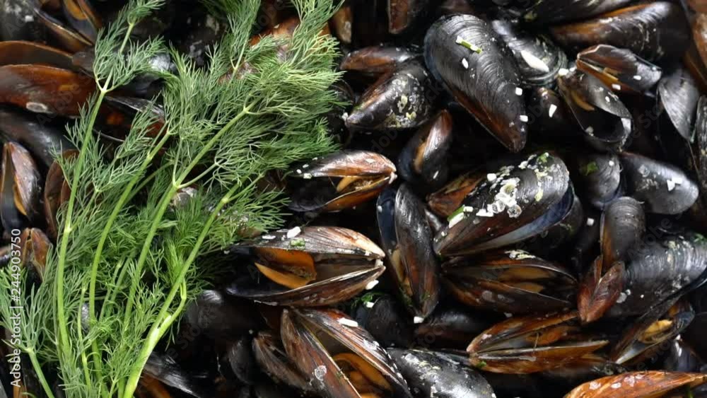 Top view of cooked sea mussels with tuft of dill rotating video background Top view of cooked sea mussels with tuft of dill rotating video background