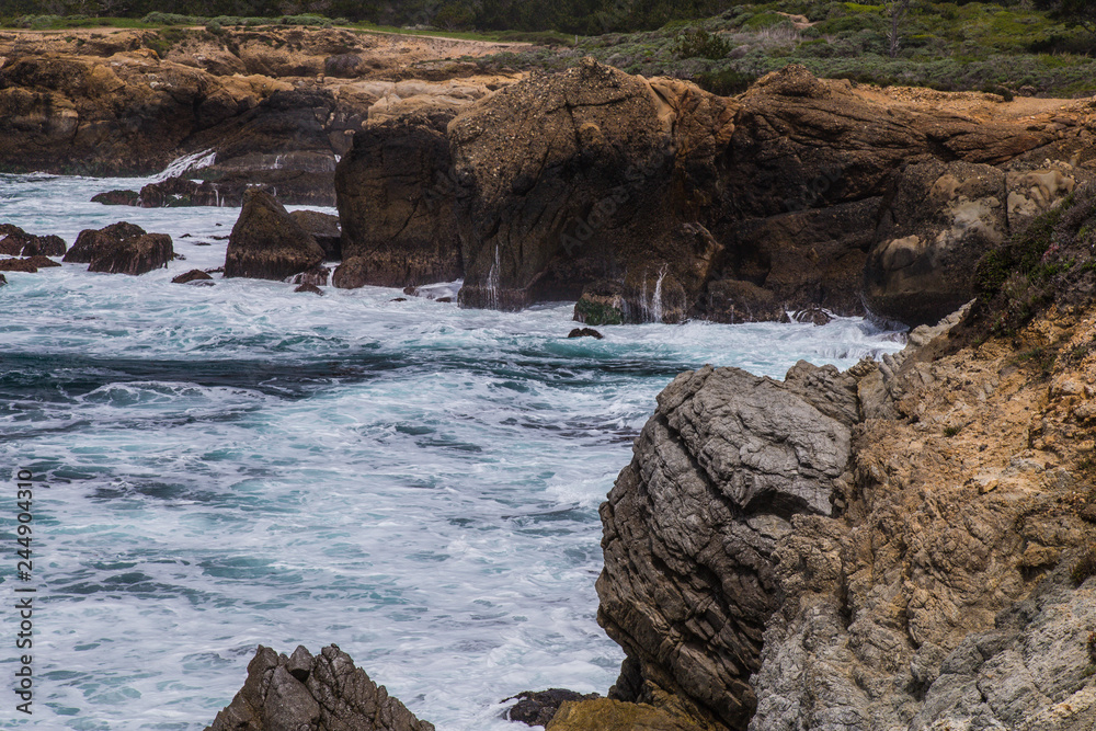 Bird Island Area, Point Lobos State Reserve, California, United States
