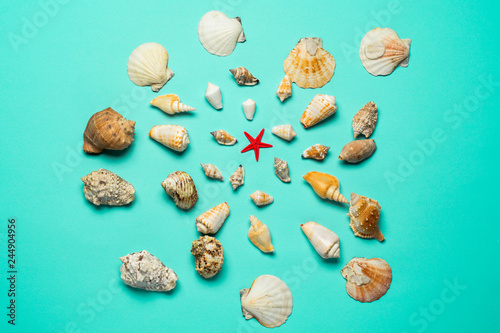 Flat lay. Top view. Frame of shells of various kinds on a turquoise background. Seashells on a pastel background. Vacation concept