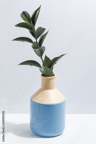 Mock up branch with green leaves in blue vase on book shelf or desk. Minimalistic concept.
