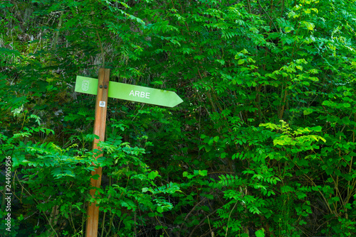 Hiking trail sign, Arbe ravine, Alto Deba - Debagoiena region, Goroeta neighborhood, Aretxabaleta municipality, Gipuzkoa, Basque Country, Spain, Europe photo