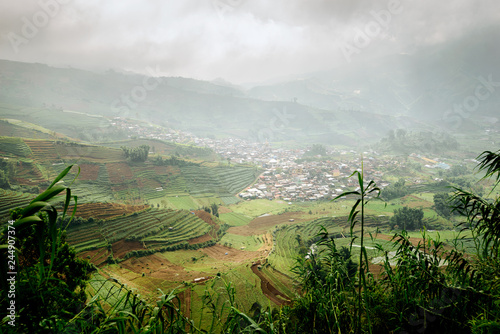 Javanese Rural Landscape