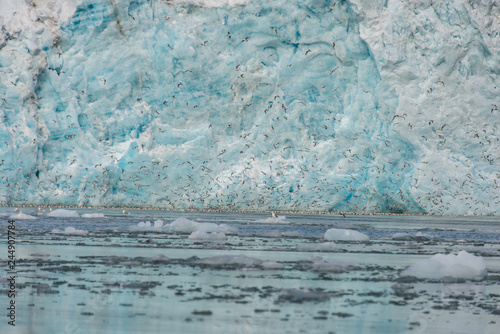 Glacier in Svalbard close up