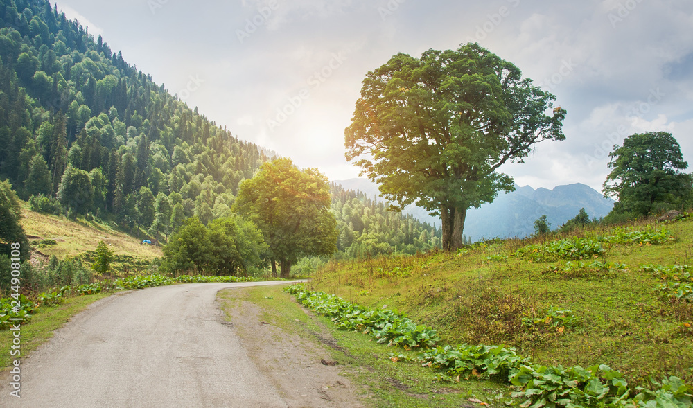 Mountain road. Landscape with rocks, a sunny sky with clouds and an asphalt road in the summer. Background travel. Mountain road. Landscape with rocks, a sunny sky with clouds and an asphalt road in the summer. Background travel.