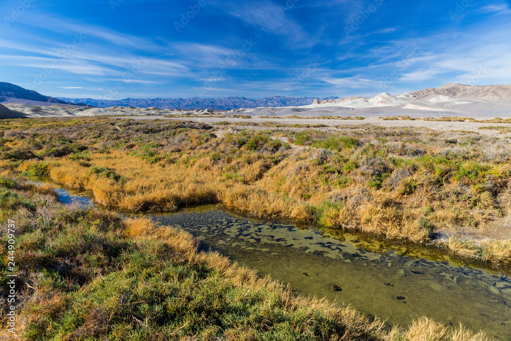 Salt Creek Trail, Death Valley National Park, California, United States