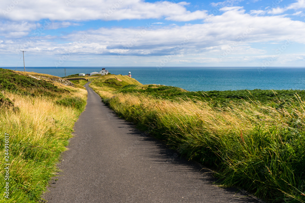 Beautiful empty asphalt road towards the sea, bordered by yellow and green tall grass on a windy summer day. Scenic route on the Howth Peninsula, Ireland, with the Baily Lighthouse in the distance.