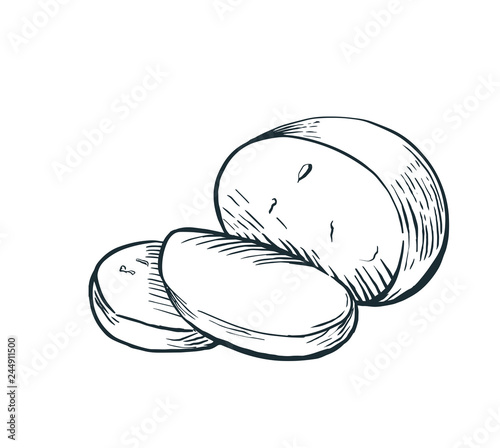 Cheese Buffalo mozzarella hand drawn engraving. Vector illustration.