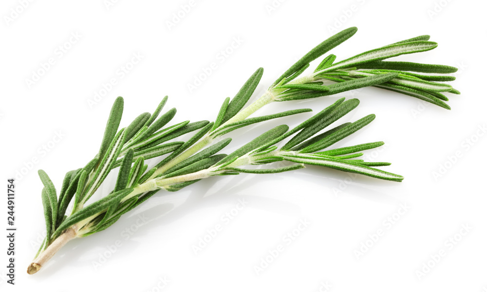 Rosemary Rosemary