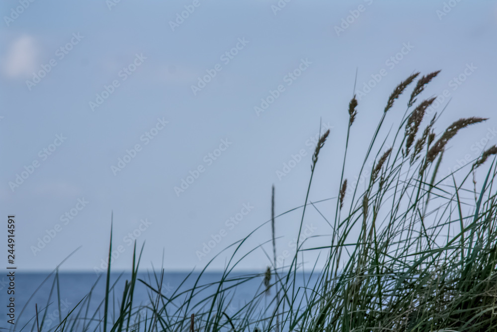 Laboe Laboe