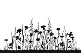 Wildflower silhouettes. Wild grass spring field. Herbal summer vector background. Wildflower on meadow, botanical plant black silhouette illustration